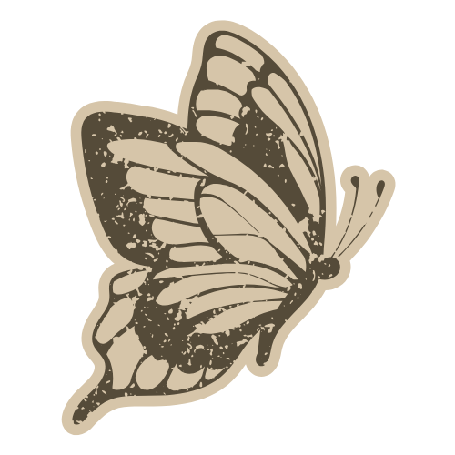 Category Image